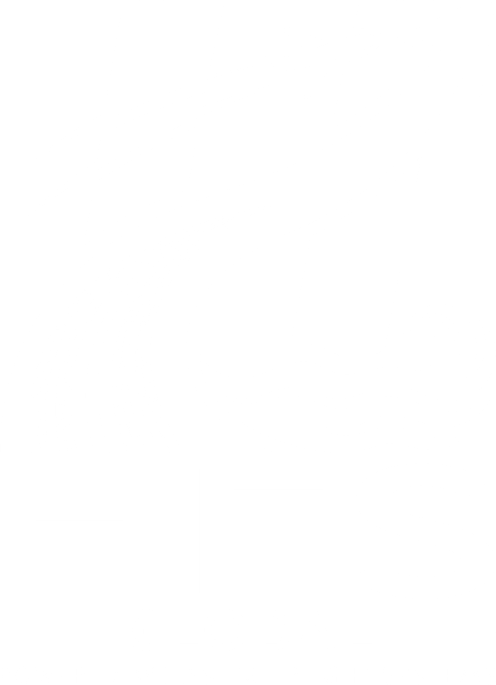 HFS Global Logo in Weiß